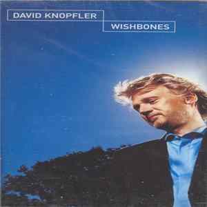David Knopfler - Wishbones FLAC