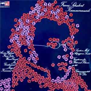 Franz Schubert - Kammermusik FLAC