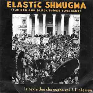 The Red And Black Power Blues Band - Le rock de la crise économique FLAC