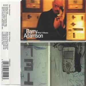 Barry Adamson - What It Means FLAC