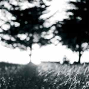 Woodworkings - Day Breaks The Morning Shapes We Speak FLAC
