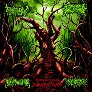 Fermented Masturbation, Decomposition Of Entrails, Morphogenetic Malformation, Needle Contaminated Pork - Impregnated Through Pathogenic Agony FLAC