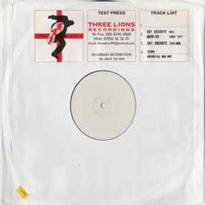 Potential Bad Boy - Say Goodbye / Warning FLAC