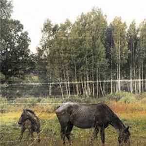 Pianos Become The Teeth - Old Pride FLAC
