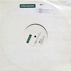Urban Species - Woman FLAC