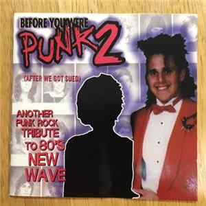 Various - Before You Were Punk 2 FLAC