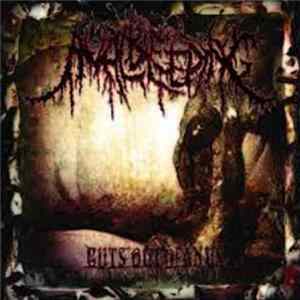 Anal Bleeding - Guts Out Of Anus FLAC