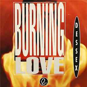 D-Essex - Burning Love FLAC
