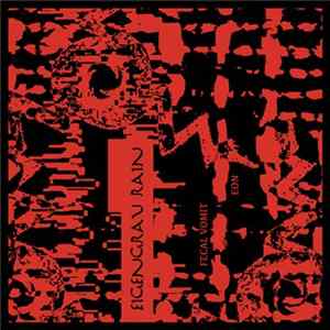 Fecal Vomit / Eon - Eigengrau Rain FLAC