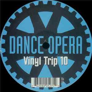 Various - Vinyl Trip 10 FLAC