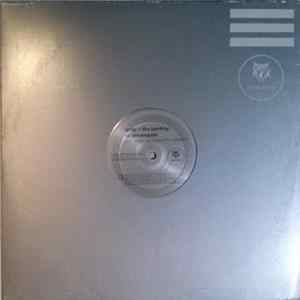 Andy + The Lamboy vs Dreamgate - Now We Are Free (Theme From Gladiator) FLAC