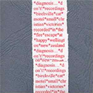 Birchville Cat Motel - Small Christian Victories FLAC