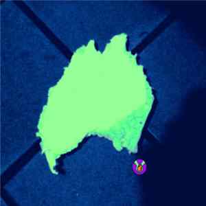 Hands On Heart - Majority FLAC