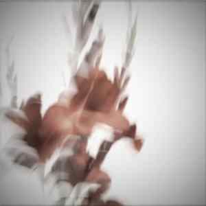 Geskia! - 323 Sayonara Memories FLAC