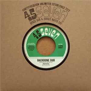 Diphasic - Backbone Dub / Reason FLAC