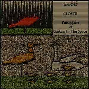 Various - Split #5 FLAC