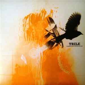 Various - Trile. Compilado Discos Rio Bueno 2010 FLAC