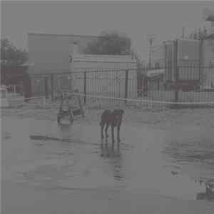 Nivhek - After Its Own Death / Walking In A Spiral Towards The House FLAC