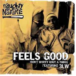 Naughty By Nature Featuring 3LW - Feels Good (Don't Worry Bout A Thing) FLAC