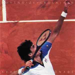 Boys Noize / Erol Alkan - Avalanche FLAC