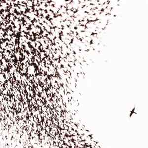 Wilco - Sky Blue Sky FLAC