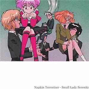 Napkin Terrorizer - Small Lady Serenity FLAC