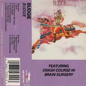 Budgie - Budgie FLAC