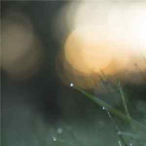 Purl - Stillpoint FLAC