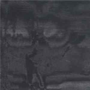 Sky Limousine - Undetected Paradise FLAC