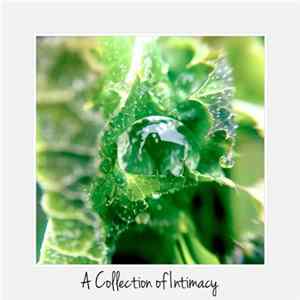 Saros-FM - A Collection Of Intimacy FLAC