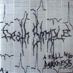 Death Simple - A Fall Into Darkness FLAC