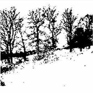 Forest Grave - Change And Renewal FLAC