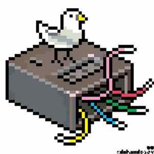 Coushin - Ender FLAC