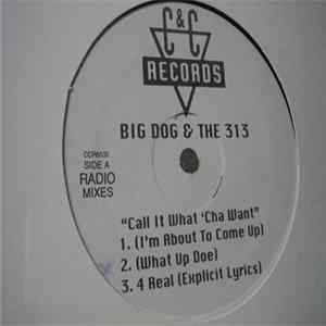 Big Dog - Call It What'cha Want FLAC