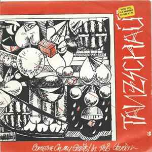Tanzschau - Someone On My Stairs FLAC