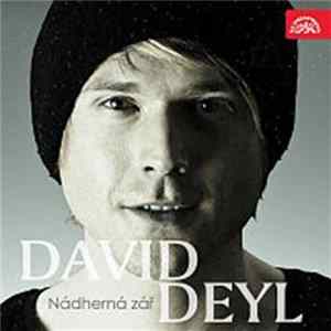 David Deyl - Nádherná Zář FLAC