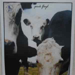 Pink Floyd - For Reasons I Don't Understand, Part 2 FLAC