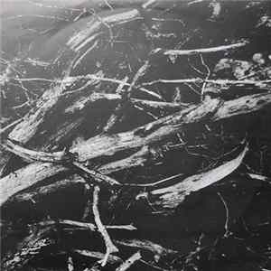 Small Cruel Party - Islands Of Sleep FLAC
