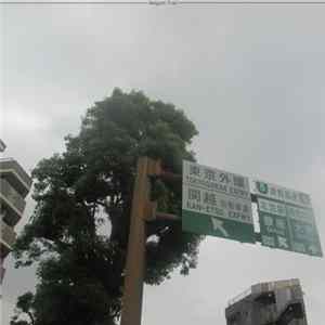 Belgum Trail - TokyoGaikan EXPWY FLAC