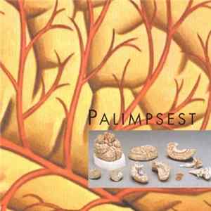 P5K - Palimpsest FLAC