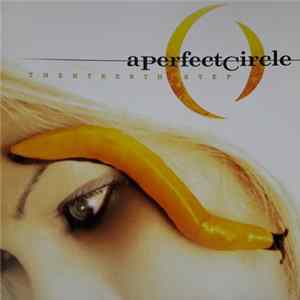 A Perfect Circle - Thirteenth Step FLAC