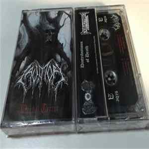 Lavatory - Morbid Terror FLAC