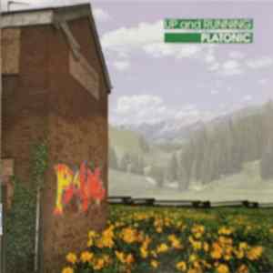 Up And Running - Platonic FLAC