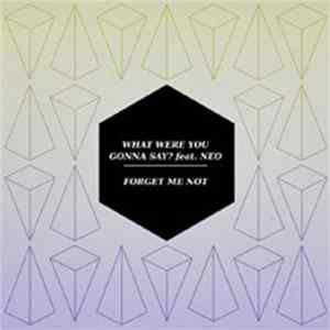 Forget Me Not Feat. NEO - What Were You Gonna Say FLAC