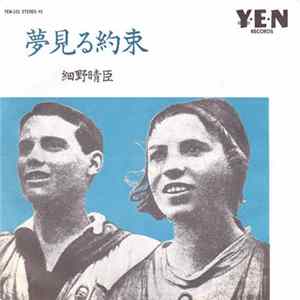 細野晴臣 - 夢見る約束 FLAC
