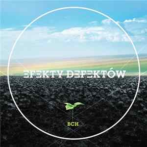 BCH - Efekty Defektów FLAC