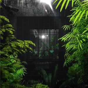 FALSE WITNESS - Makina FLAC
