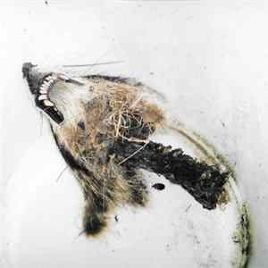 Watcher's Woods - Decay FLAC