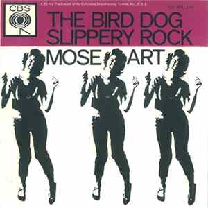 Mose Art - The Bird Dog Slop FLAC