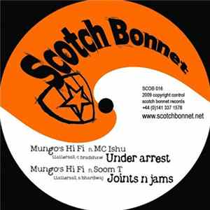 Mungo's Hi-Fi - Under Arrest FLAC